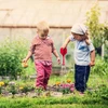Kodustaar Žalia sodo vejos bortelio tvorelė, 5 dalių rinkinys