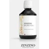 Zinzino BalanceOil+ žuvų taukai apelsinų, citrinų ir mėtų skonio, 100ml.
