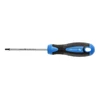 HOGERT Atsuktuvas Torx T10, 100 mm, S2 plienas