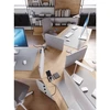 Baldų lizdas su "Flip shutter", 1x "schuko" lizdas, 2xUSB A RJ45, 1,5 m ilgio kabelis, juo