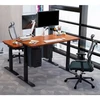 BSSD-L10-18/24 B Dual Motor Electric Sit-Stand Desk Frame, 3-Stage, juodas