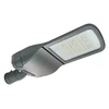 Dani street and park lamp, LED, 100W, 15000lm, 4000K, AC180-250V, IP66, IK09