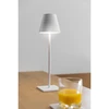 'FIZZI Led table lamp, 2,5W, 200lm, DC 5V, 1A,4000 K, battery 4000 mAh, baltas