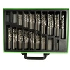 Grąžtas 170 VNT. HSS GRĄŽTŲ RINKINYS 1 - 10 mm DS1438