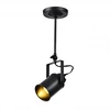 Pakabinamas šviestuvas Lubinis šviestuvas DEMIR,3963,AC220-240V,50/60Hz,1*E27, IP20,viengubas,juodas