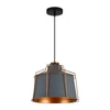 Pakabinamas šviestuvas Lubinis šviestuvas GOA , 3550, AC220-240V, 50/60Hz, 1*E27, IP20, skersmuo 32 CM, viengubas