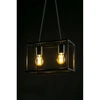 Pakabinamas šviestuvas Lubų šviestuvas DIU2 ,3628, AC220-240V,50/60Hz,2*E27, IP20,30CMX18CMX20CM,dvigubas, juodas