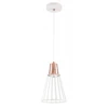 Pakabinamas šviestuvas Lubų šviestuvas KALIOPE,8235,AC220-240V,50/60Hz,1*E27,max.40W,IP20, skersmuo 18cm, viengub