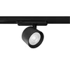 LUMEO Track Spotlight, LED, 24W, 2400lm, CCT, AC180-250V, 50°, CRI90+, juodas