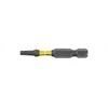HÕGERT Torx TT40 50mm atsuktuvo antgalis 2 vnt.