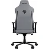 Žaidimų kėdė AndaSeat Novis Plus XL, Pilka