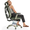 Biuro kėdė Desktronic SitPro Žalia, 3D porankiai, 10 reguliuojamų taškų, BIFMA sertifikatas