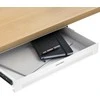 Desktronic Darbo stalo stalčius Baltas