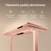 Elektrinis reguliuojamo aukščio stalas Desktronic HomePro Rožinis/Rožinis, 120x60cm, Dvigubas motoras, USB ir USB-C įkrovimo lizdai