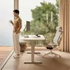 Elektrinis reguliuojamo aukščio stalas Desktronic HomePro Pilkas/Baltas, 120x60cm, Dvigubas motoras, USB ir USB-C įkrovimo lizdai