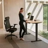 Elektrinis reguliuojamo aukščio stalas Desktronic HomePro Bambukas/Juodas, 140x70cm, Dvigubas motoras, USB ir USB-C įkrovimo lizdai