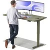 Elektrinis reguliuojamo aukščio stalas Desktronic HomePro Žalias/Žalias, 160x80cm, Dvigubas motoras, USB ir USB-C įkrovimo lizdai
