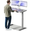 Elektrinis reguliuojamo aukščio stalas Desktronic HomeOne Pilkas/Pilkas, 120x60cm, Dvigubas motoras, USB ir USB-C įkrovimo lizdai
