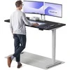 Elektrinis reguliuojamo aukščio stalas Desktronic HomePro Pilkas/Juodas, 160x80cm, Dvigubas motoras, USB ir USB-C įkrovimo lizdai