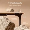 Elektrinis reguliuojamo aukščio stalas Desktronic HomePro Bambukas/Juodas, 160x80cm, Dvigubas motoras, USB ir USB-C įkrovimo lizdai