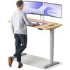 Elektrinis reguliuojamo aukščio stalas Desktronic HomePro Pilkas/Ąžuolas, 140x70cm, Dvigubas motoras, USB ir USB-C įkrovimo lizdai