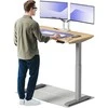 Elektrinis reguliuojamo aukščio stalas Desktronic HomeOne Pilkas/Ąžuolas, 120x60cm, Dvigubas motoras, USB ir USB-C įkrovimo lizdai