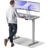 Elektrinis reguliuojamo aukščio stalas Desktronic HomePro Pilkas/Pilkas, 120x60cm, Dvigubas motoras, USB ir USB-C įkrovimo lizdai