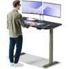 Elektrinis reguliuojamo aukščio stalas Desktronic HomeOne Žalias/Juodas, 140x70cm, Dvigubas motoras, USB ir USB-C įkrovimo lizdai