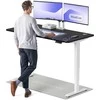 Elektrinis reguliuojamo aukščio stalas Desktronic HomePro Baltas/Juodas, 160x80cm, Dvigubas motoras, USB ir USB-C įkrovimo lizdai
