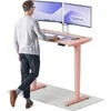 Elektrinis reguliuojamo aukščio stalas Desktronic HomePro Rožinis/Rožinis, 120x60cm, Dvigubas motoras, USB ir USB-C įkrovimo lizdai