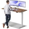 Elektrinis reguliuojamo aukščio stalas Desktronic HomePro Pilkas/Riešutmedis, 160x80cm, Dvigubas motoras, USB ir USB-C įkrovimo lizdai