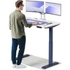 Elektrinis reguliuojamo aukščio stalas Desktronic HomeOne Mėlynas/Baltas, 120x60cm, Dvigubas motoras, USB ir USB-C įkrovimo lizdai