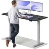 Elektrinis reguliuojamo aukščio stalas Desktronic HomePro Pilkas/Juodas, 180x80cm, Dvigubas motoras, USB ir USB-C įkrovimo lizdai