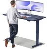 Elektrinis reguliuojamo aukščio stalas Desktronic HomePro Mėlynas/Mėlynas, 160x80cm, Dvigubas motoras, USB ir USB-C įkrovimo lizdai