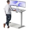 Elektrinis reguliuojamo aukščio stalas Desktronic HomePro Pilkas/Pilkas, 140x70cm, Dvigubas motoras, USB ir USB-C įkrovimo lizdai