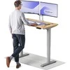 Elektrinis reguliuojamo aukščio stalas Desktronic HomePro Pilkas/Ąžuolas, 120x60cm, Dvigubas motoras, USB ir USB-C įkrovimo lizdai