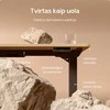 Elektrinis reguliuojamo aukščio stalas Desktronic HomePro Ąžuolo masyvas/Juodas, 160x80cm, Dvigubas motoras, USB ir USB-C įkrovimo lizdai