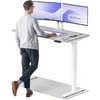 Elektrinis reguliuojamo aukščio stalas Desktronic HomePro Baltas/Pilkas, 140x70cm, Dvigubas motoras, USB ir USB-C įkrovimo lizdai