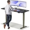 Elektrinis reguliuojamo aukščio stalas Desktronic HomePro Žalias/Juodas, 180x80cm, Dvigubas motoras, USB ir USB-C įkrovimo lizdai