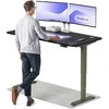Elektrinis reguliuojamo aukščio stalas Desktronic HomePro Žalias/Juodas, 160x80cm, Dvigubas motoras, USB ir USB-C įkrovimo lizdai