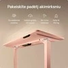 Elektrinis reguliuojamo aukščio stalas Desktronic HomePro Rožinis/Rožinis, 120x60cm, Dvigubas motoras, USB ir USB-C įkrovimo lizdai