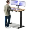 Elektrinis reguliuojamo aukščio stalas Desktronic HomeOne Juodas/Ąžuolas, 120x60cm, Dvigubas motoras, USB ir USB-C įkrovimo lizdai
