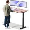 Elektrinis reguliuojamo aukščio stalas Desktronic HomeOne Juodas/Rožinis, 160x80cm, Dvigubas motoras, USB ir USB-C įkrovimo lizdai