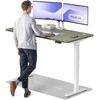 Elektrinis reguliuojamo aukščio stalas Desktronic HomePro Baltas/Žalias, 160x80cm, Dvigubas motoras, USB ir USB-C įkrovimo lizdai