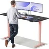 Elektrinis reguliuojamo aukščio stalas Desktronic HomePro Rožinis/Juodas, 200x80cm, Dvigubas motoras, USB ir USB-C įkrovimo lizdai