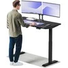 Elektrinis reguliuojamo aukščio stalas Desktronic HomeOne Juodas/Juodas, 140x70cm, Dvigubas motoras, USB ir USB-C įkrovimo lizdai