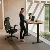 Elektrinis reguliuojamo aukščio stalas Desktronic HomePro Ąžuolo masyvas/Juodas, 200x80cm, Dvigubas motoras, USB ir USB-C įkrovimo lizdai