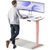 Elektrinis reguliuojamo aukščio stalas Desktronic HomePro Rožinis/Baltas, 140x70cm, Dvigubas motoras, USB ir USB-C įkrovimo lizdai