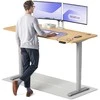 Elektrinis reguliuojamo aukščio stalas Desktronic HomePro Pilkas/Ąžuolas, 180x80cm, Dvigubas motoras, USB ir USB-C įkrovimo lizdai