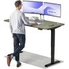 Elektrinis reguliuojamo aukščio stalas Desktronic HomePro Juodas/Žalias, 160x80cm, Dvigubas motoras, USB ir USB-C įkrovimo lizdai